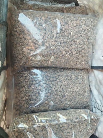 ปุ๋ยขี้กระต่ายออแกนิค รูปที่ 4