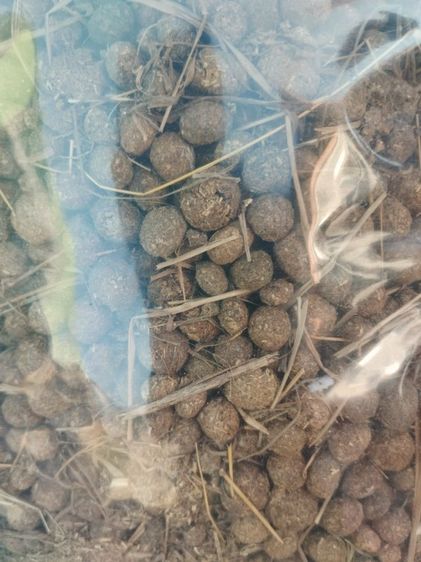 ปุ๋ยขี้กระต่ายออแกนิค รูปที่ 2