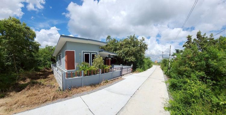 บ้านสร้างใหม่.บึงอ้อ ขามฯ ใกล้มอเตอร์M6  50 ตร ว   ต บึงอ้อ ขามทะเลสอ โคราช ราคากันเอง รูปที่ 2