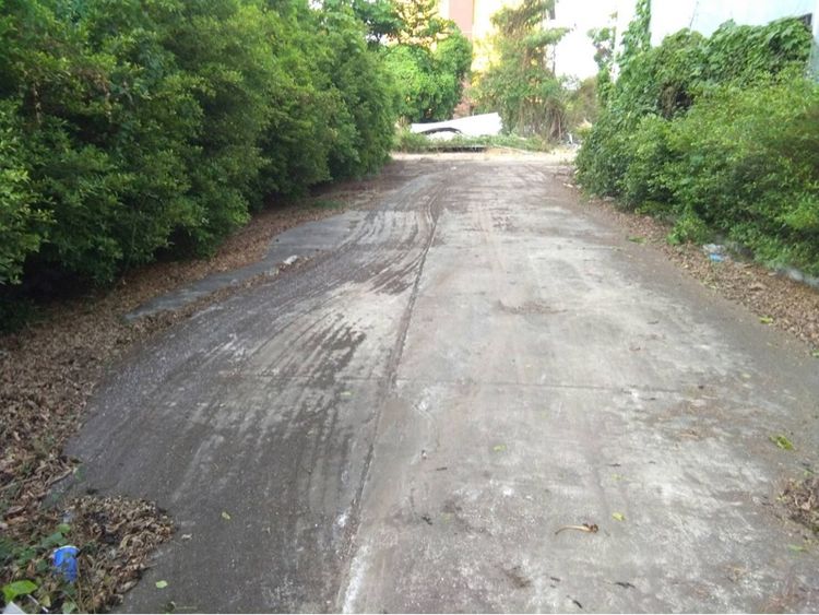 ใช่  ที่ดินโฉนดในเขตเทศบาล อ.เมือง นครนายก รูปที่ 3