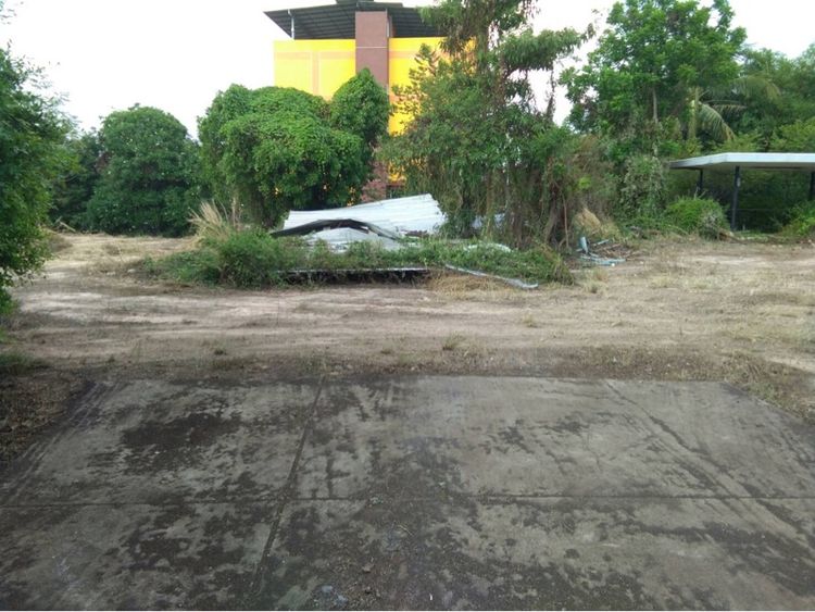 ใช่  ที่ดินโฉนดในเขตเทศบาล อ.เมือง นครนายก รูปที่ 4