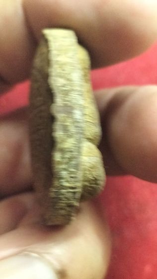 พระปิดตามหาลาภหลวงปู่โต๊ะวัดประดู่ฉิมพลี รูปที่ 9