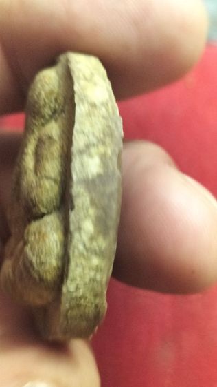 พระปิดตามหาลาภหลวงปู่โต๊ะวัดประดู่ฉิมพลี รูปที่ 8