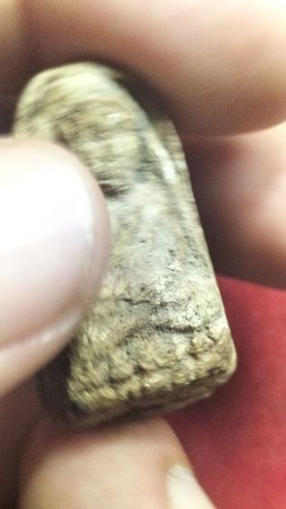 พระหลวงปู่ทวดวัดช้างให้ รูปที่ 9