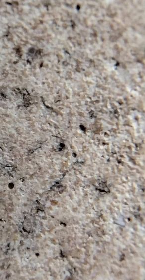 พระสมเด็จ วัดระฆัง บางขุนพรหม วัดเกศไชโย หลวงปู่ภู หลวงปู่นาค รูปที่ 6