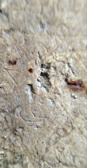 พระสมเด็จ วัดระฆัง บางขุนพรหม วัดเกศไชโย หลวงปู่ภู หลวงปู่นาค รูปที่ 17