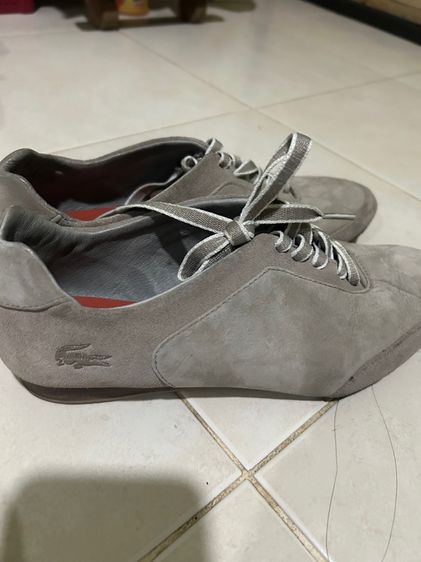 ลาคอสของแท้ รูปที่ 5