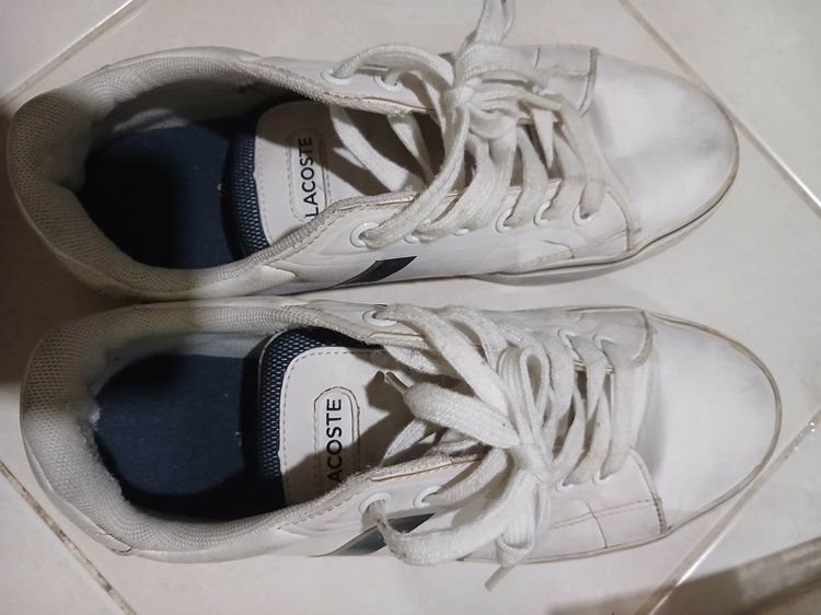 ลาคอสของแท้