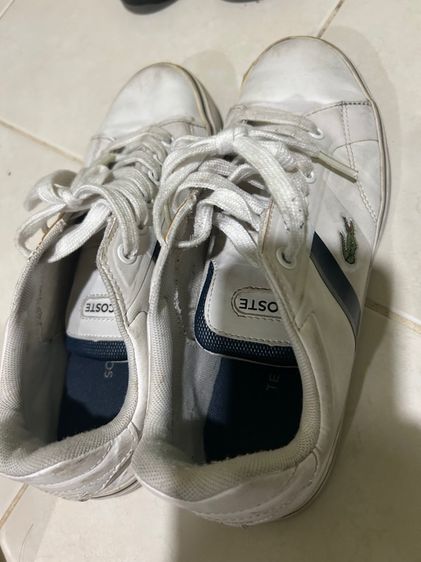 ลาคอสของแท้ รูปที่ 4