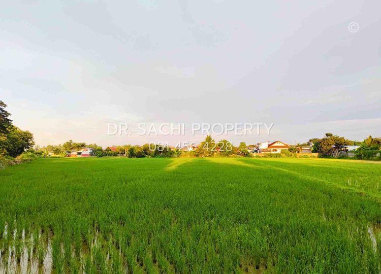 ขายที่ดินสวยเชียงราย ทำเลดี ใกล้ ถ.บายพาสตะวันออก เพียง 1 กม. สนามบินเชียงราย (13-2-50.3 ไร่) รูปที่ 2