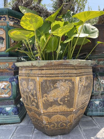 อ่างบัว ๘ เหลี่ยมด้านในเขียว  รูปที่ 3