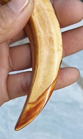 พระสีเหลือง 1 องค์ รูปที่ 7