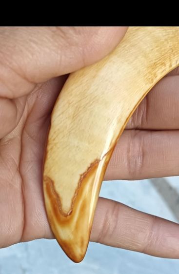 พระสีเหลือง 1 องค์ รูปที่ 9