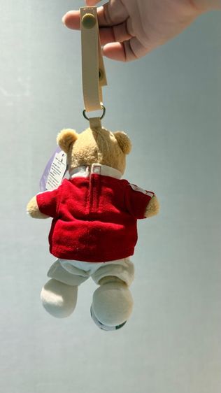 ตุ๊กตา Aroma Teddy รูปที่ 2