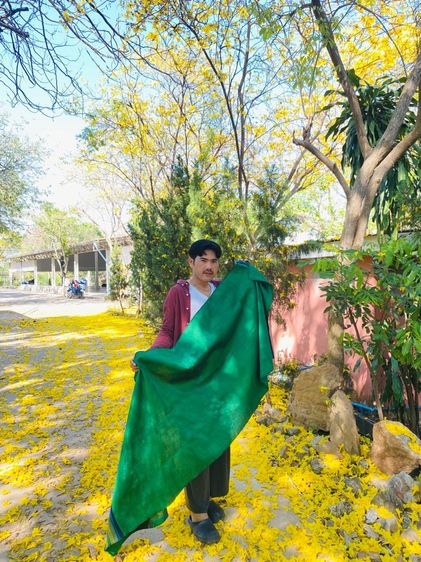 ผ้าไหมแท้ รูปที่ 10