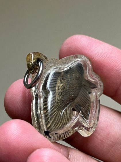 ปลากัดปั้มรุ่นแรกหลวงพ่อน่วม วัดโพธิ์ศรีเจริญ รูปที่ 4