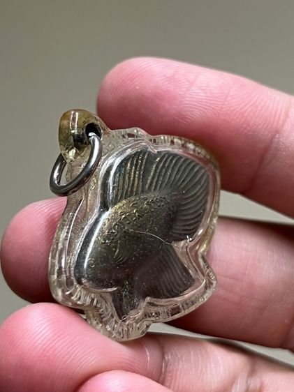 ปลากัดปั้มรุ่นแรกหลวงพ่อน่วม วัดโพธิ์ศรีเจริญ รูปที่ 3