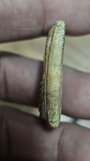 สมเด็จ5ชั้นอกตลอด รูปที่ 7