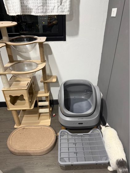 ห้องน้ำแมวอัตโนมัติ pando รุ่น gen 4 สีเทา รูปที่ 5