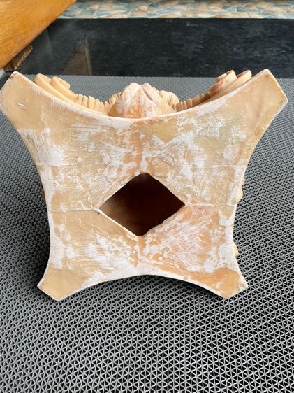 เรซิ่นรูปนก รูปที่ 6