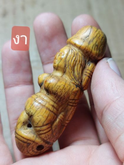 เครื่องรางปลัดขิกนางควรหลวงพ่อคงวัดวังสรรพรสดอกใหญ่ รูปที่ 8