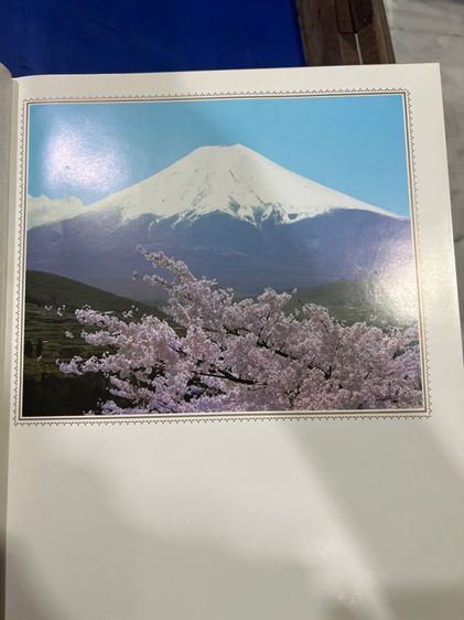 สมุดเก็บรูปเก่า รูปที่ 5