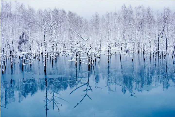 เที่ยว โอซาก้า เกียวโต หรือ โตเกียว ฟูจิ หรือ ฮอกไกโด รูปที่ 9