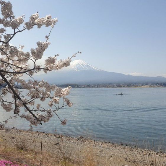 เที่ยว โอซาก้า เกียวโต หรือ โตเกียว ฟูจิ หรือ ฮอกไกโด รูปที่ 2