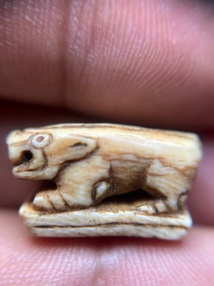 เสือ (มีสินค้าหลายรายการกดเข้ามาดูในโปรไฟล์ได้เลยครับ)