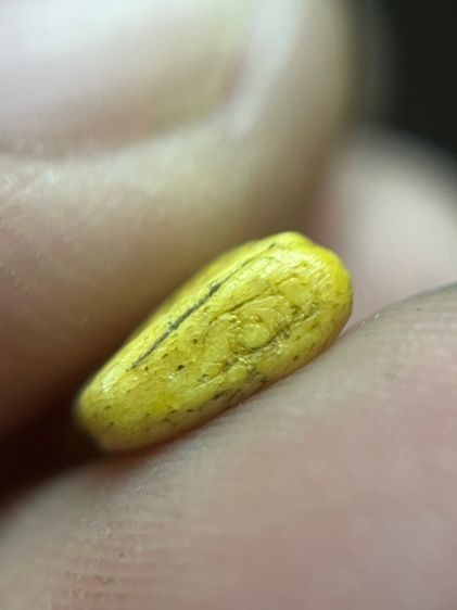 เสือ (มีสินค้าหลายรายการกดเข้ามาดูในโปรไฟล์ได้เลยครับ) รูปที่ 5