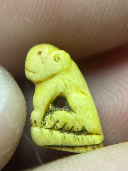 เสือ (มีสินค้าหลายรายการกดเข้ามาดูในโปรไฟล์ได้เลยครับ) รูปที่ 3