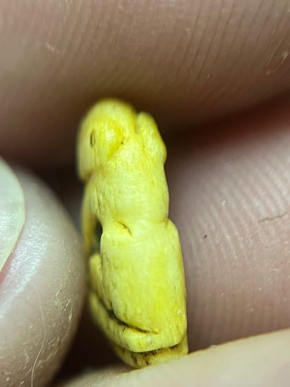 เสือ (มีสินค้าหลายรายการกดเข้ามาดูในโปรไฟล์ได้เลยครับ) รูปที่ 4