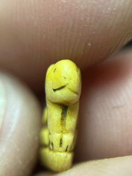 เสือ (มีสินค้าหลายรายการกดเข้ามาดูในโปรไฟล์ได้เลยครับ) รูปที่ 2