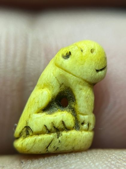 เสือ (มีสินค้าหลายรายการกดเข้ามาดูในโปรไฟล์ได้เลยครับ)