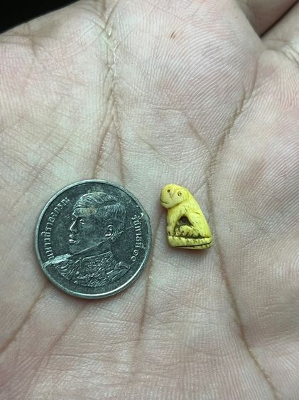 เสือ (มีสินค้าหลายรายการกดเข้ามาดูในโปรไฟล์ได้เลยครับ) รูปที่ 7