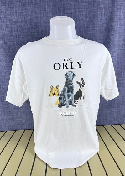 เสื้อยืด Discoat ลายหมาสวย แท้ 💯 size L ขนาดอก 21.5 ยาว 28 นิ้ว สภาพใหม่มาก ทรงสวย เนื้อผ้านิ่มมาก หายากน่าสะสมครับ