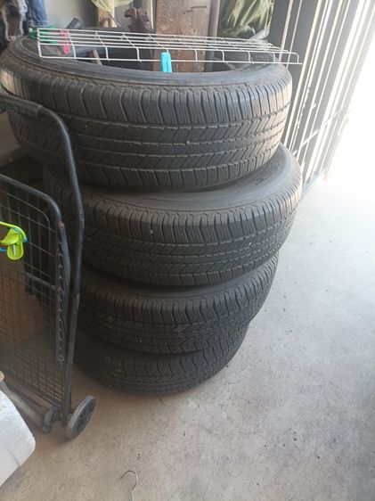 ยางขอบ 17