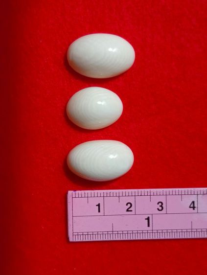 หัวแหวนทรงหลังเต่าเนื้อแท้ธรรมชาติลายชัด เกรด A รูปที่ 3