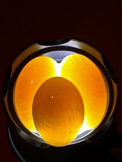 หัวแหวนทรงหลังเต่าเนื้อแท้ธรรมชาติลายชัด เกรด A รูปที่ 2