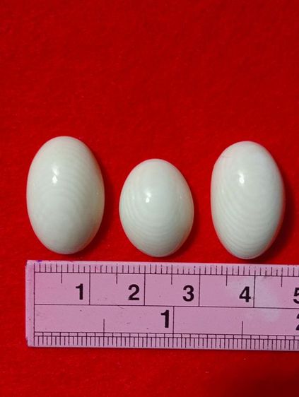 หัวแหวนทรงหลังเต่าเนื้อแท้ธรรมชาติลายชัด เกรด A รูปที่ 7