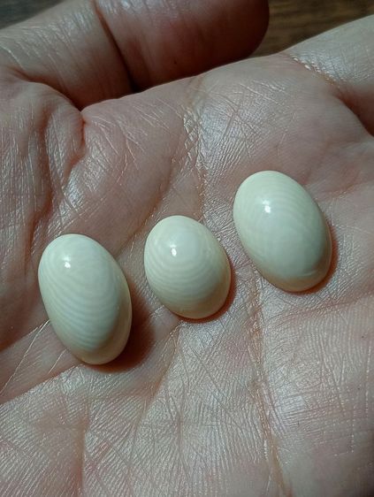 หัวแหวนทรงหลังเต่าเนื้อแท้ธรรมชาติลายชัด เกรด A รูปที่ 11