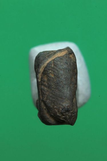 พระรอดค่ะ รูปที่ 5