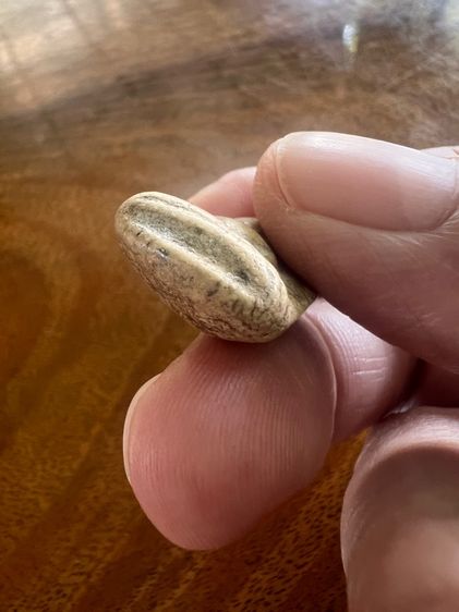 พระวัดโค่ง รูปที่ 5