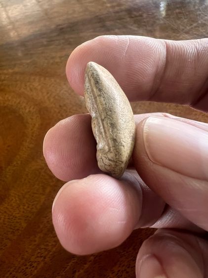 พระวัดโค่ง รูปที่ 3