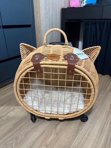 รถเข็นแมว