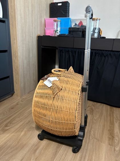 รถเข็นแมว รูปที่ 4