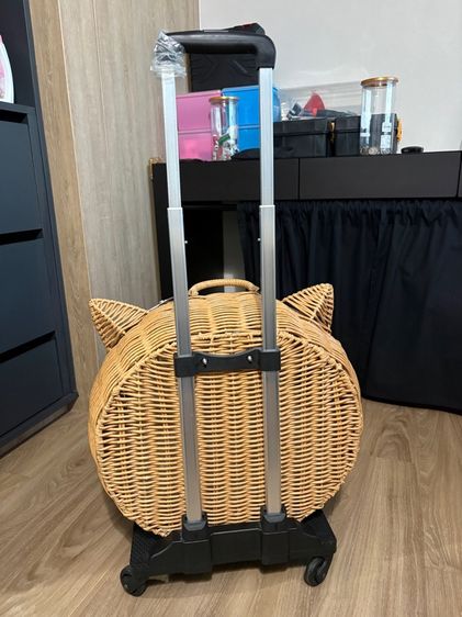 รถเข็นแมว รูปที่ 3