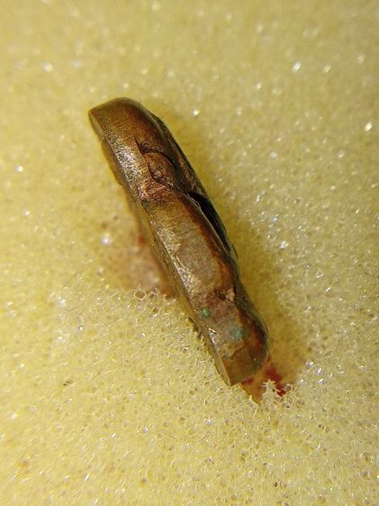 พระปิดตาหลวงปู่ทิม รูปที่ 5