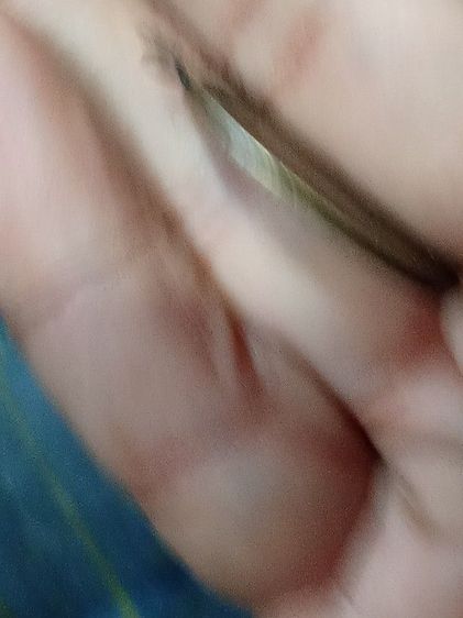 เหรียญหลวงพ่อเหลือ วัดสาวชะโงก รูปที่ 4