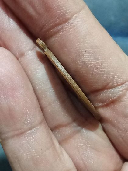 เหรียญหลวงพ่อแพ รุ่นแรก รูปที่ 5